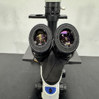 Olympus CKX53 Inverted Microscope image 2